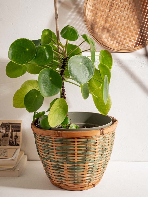 Cache-pot en rotin - révélé, brocante, art & déco responsable