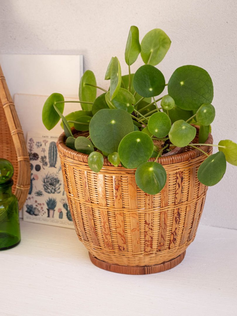 Cache-pot en rotin - révélé, brocante, art & déco responsable