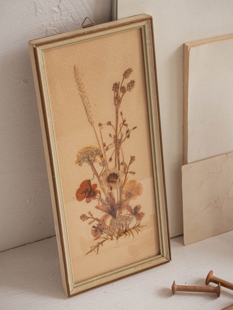 cadre composition fleurs sechées vintage