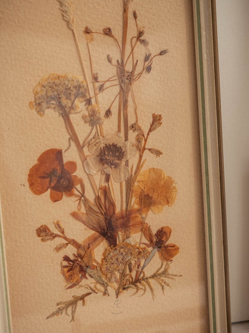 cadre composition fleurs sechées vintage