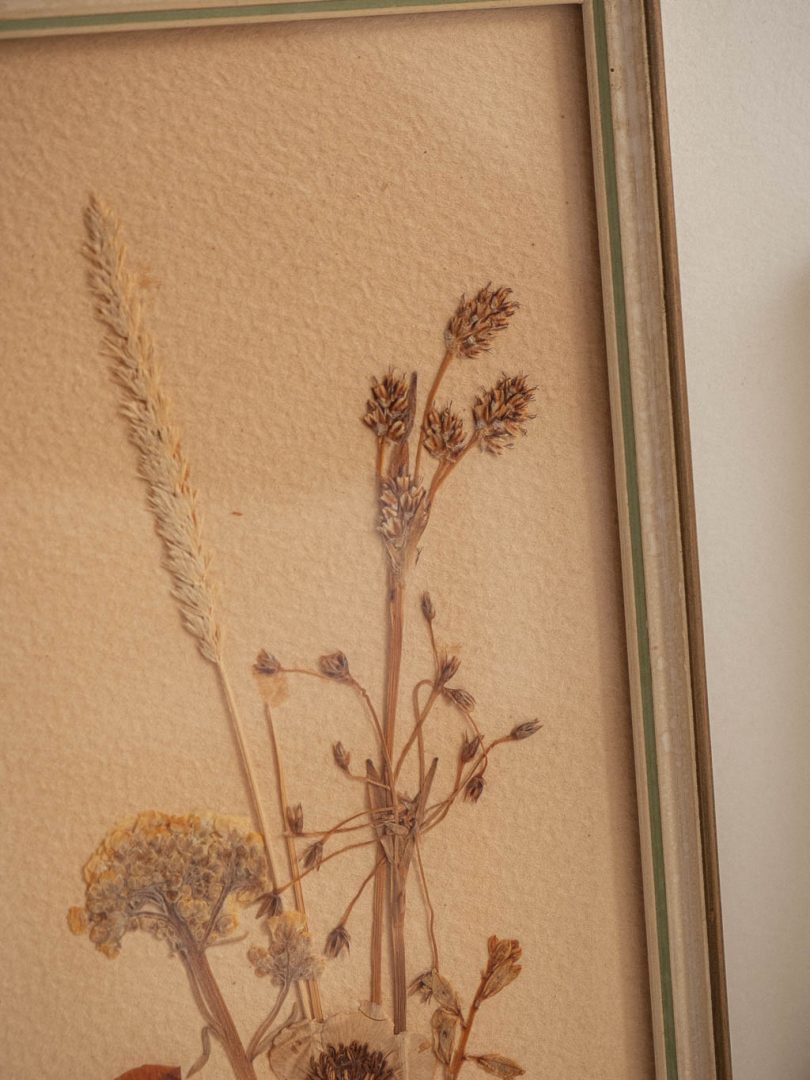 cadre composition fleurs sechées vintage