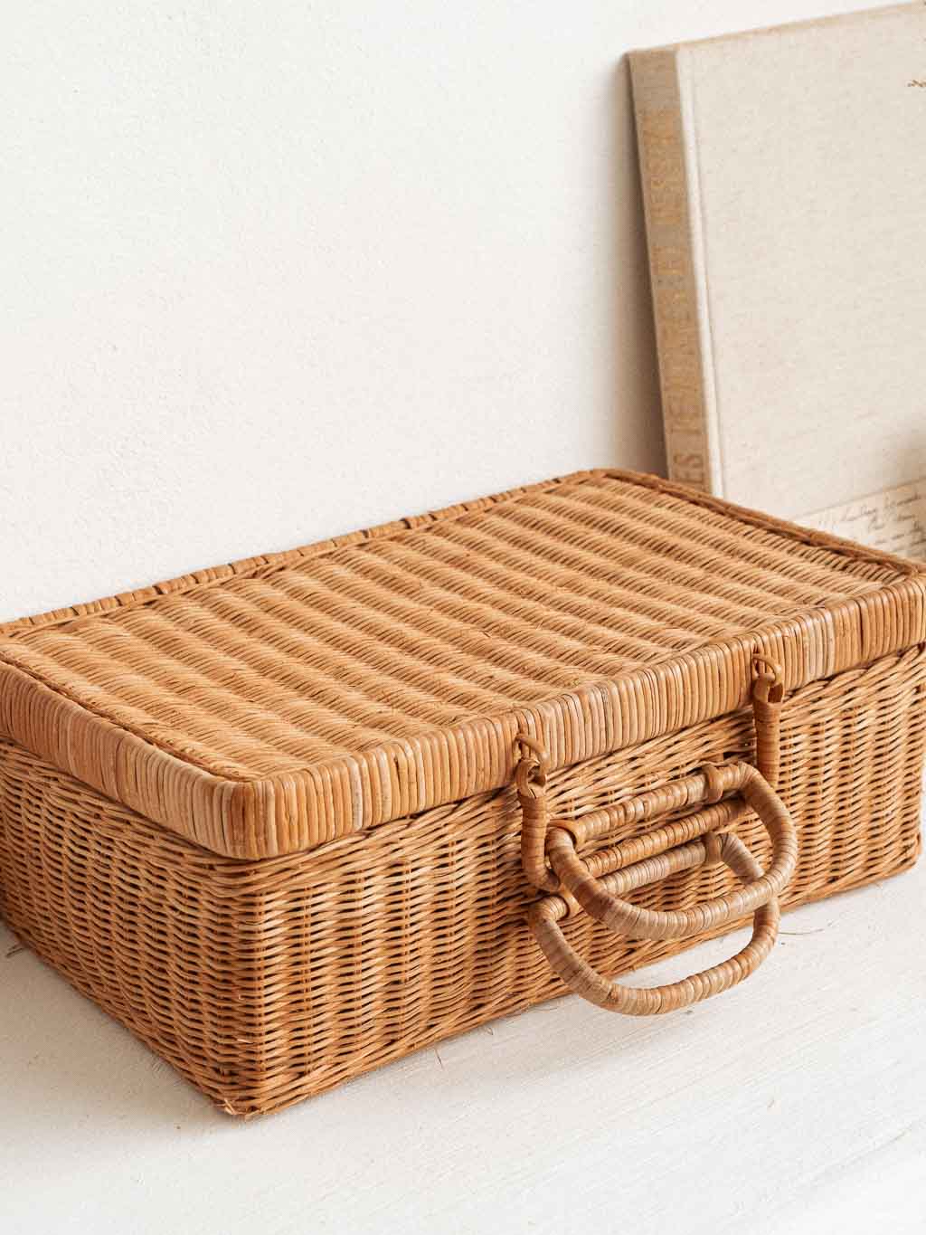 RSTYS Valise En Rotin Tissé - Boîte De Rangement Osier Artificiel Avec Couvercle Et Poignées Cuir - Gris 29.5x21x12cm