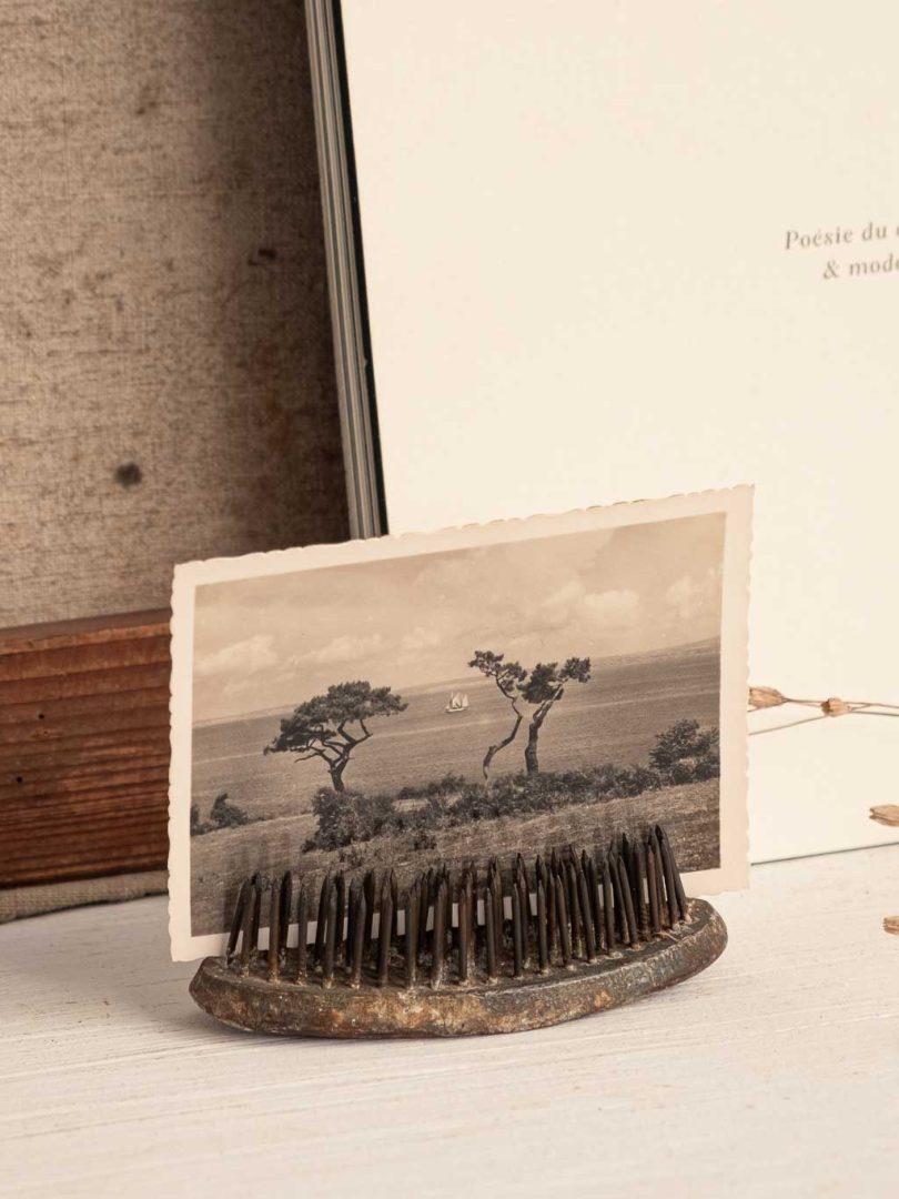 pique fleurs ovale kenzan en métal ancien pour ikebana