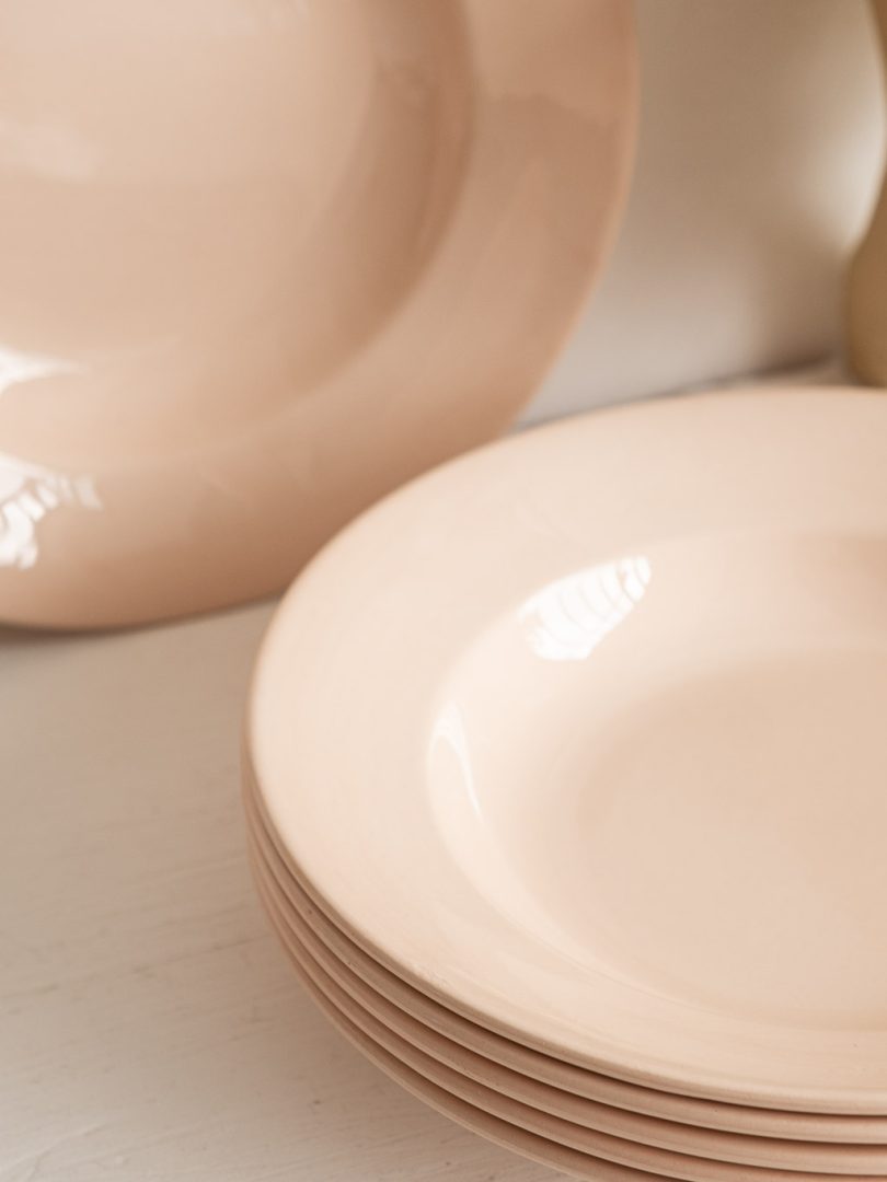 lot de 6 assiettes creuses roses digoin sarreguemines