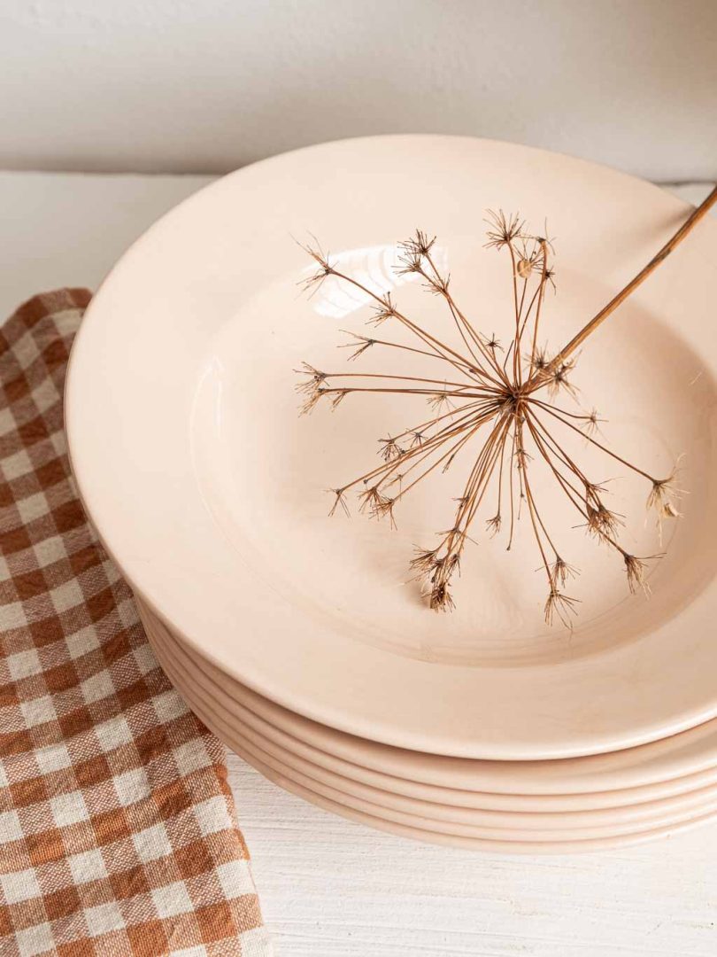 lot de 6 assiettes creuses roses digoin sarreguemines