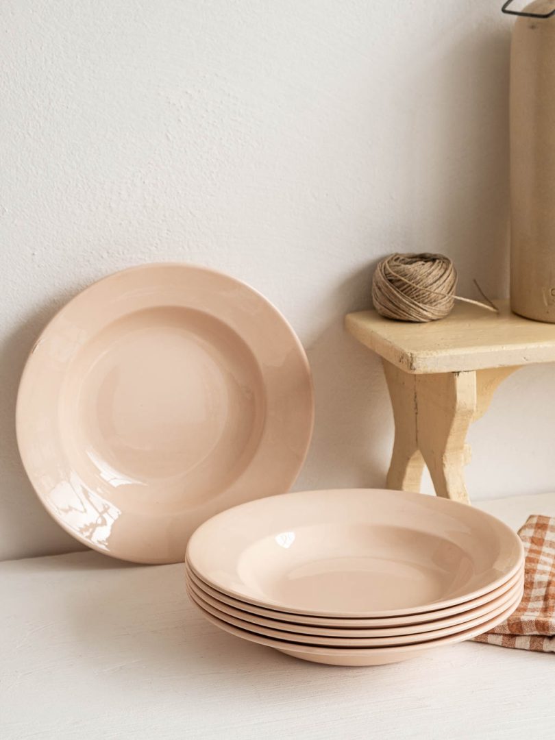 lot de 6 assiettes creuses roses digoin sarreguemines