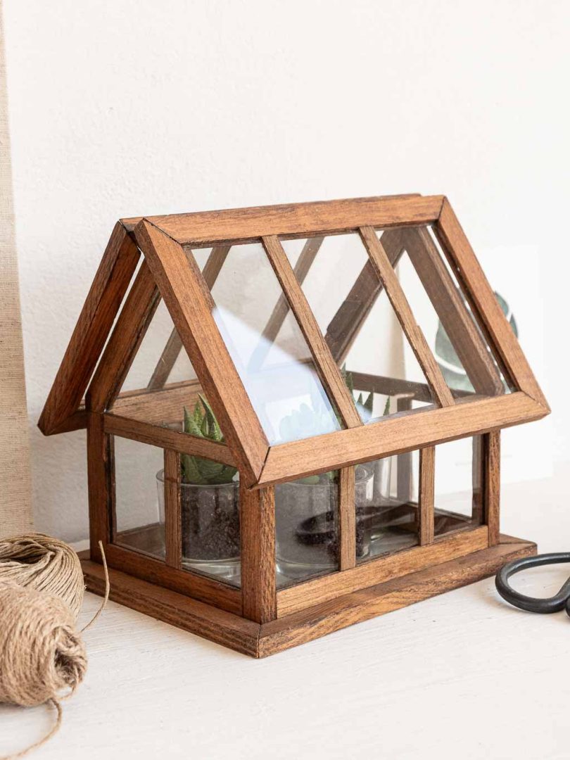 petite serre d'intérieur en bois et verre