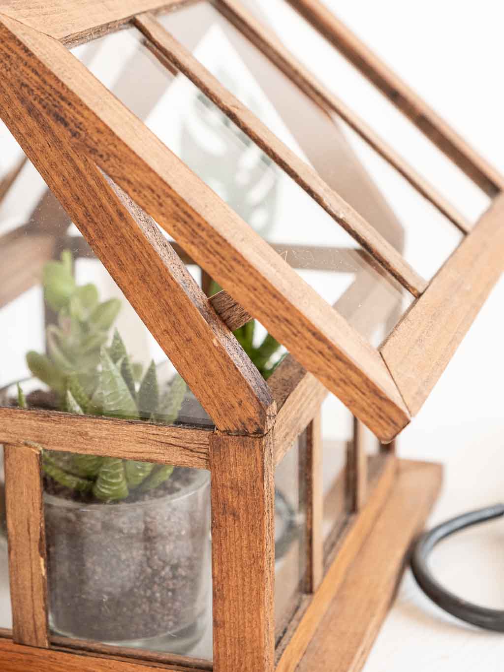 petite serre d'intérieur en bois et verre