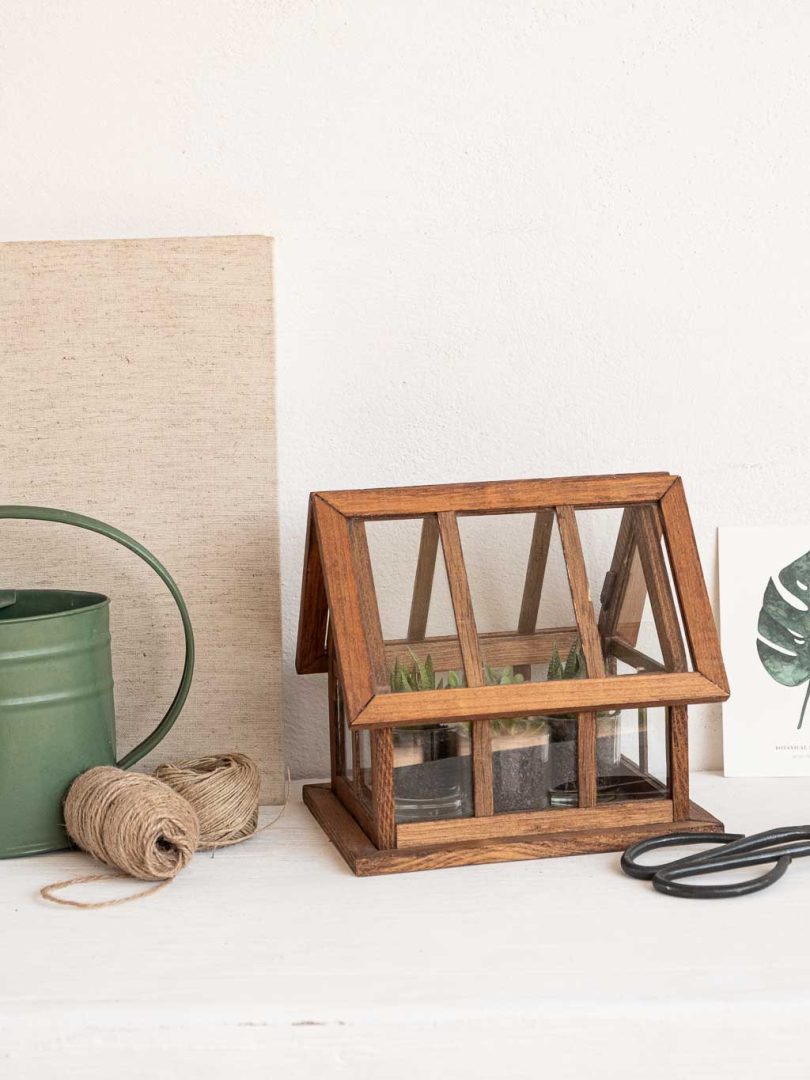 petite serre d'intérieur en bois et verre