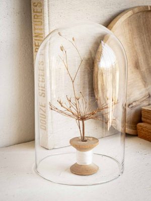cloche en verre 20 cm