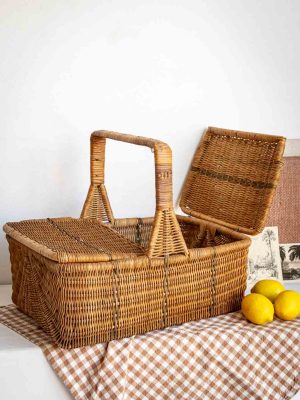 Panier vintage de pique-nique en rotin avec abattants